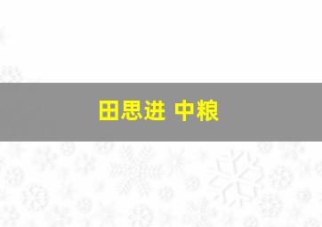 田思进 中粮